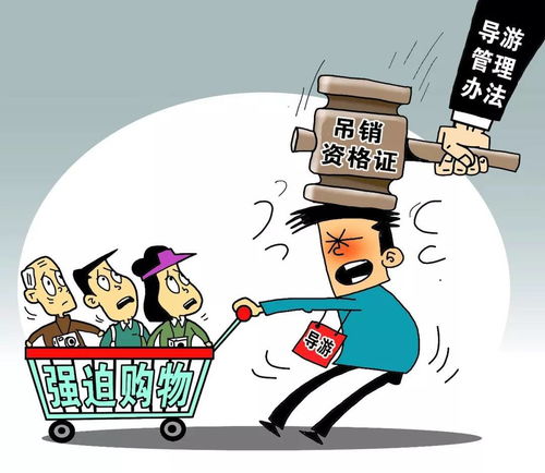 2018年1月1日起，黃石人生活質(zhì)量提升新規(guī)與上海網(wǎng)絡(luò)技術(shù)轉(zhuǎn)讓的聯(lián)動影響